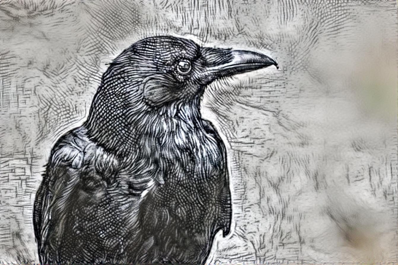 Quoth the Raven