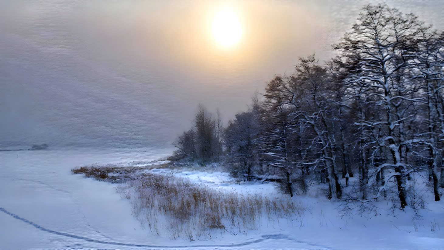 Soft Winter Haze