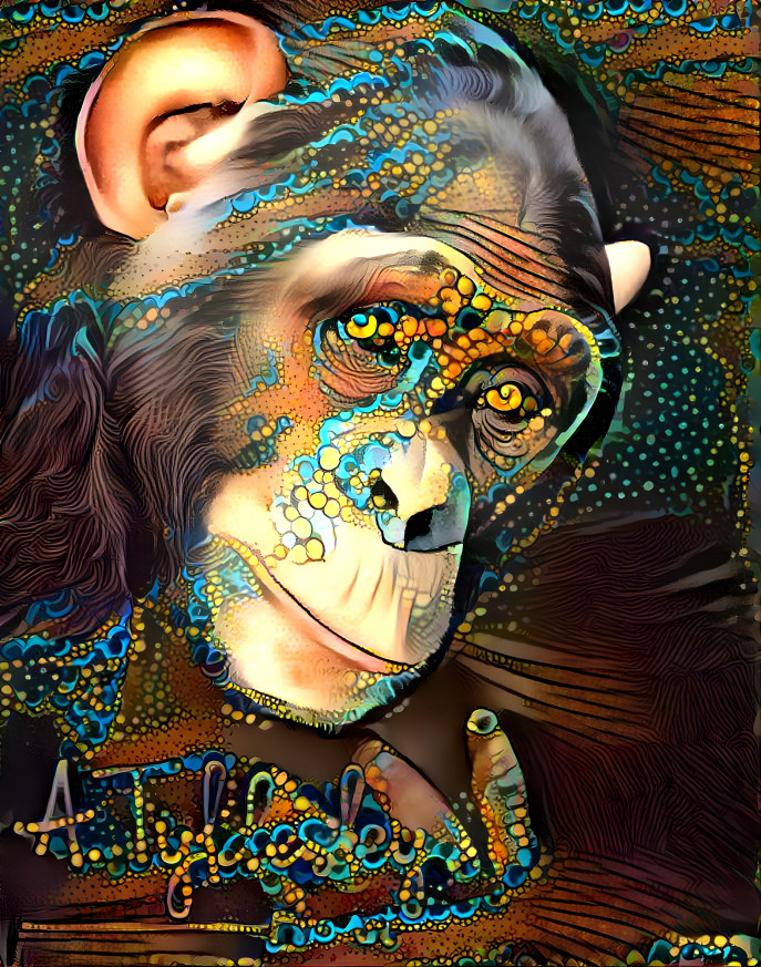 Monkey 