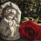 Toddler in White Outfit with Red Rose and Festive Decorations