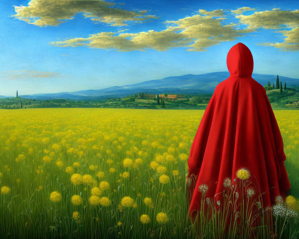 Person in red cloak in field of yellow flowers gazes at distant landscape with green hills, trees,