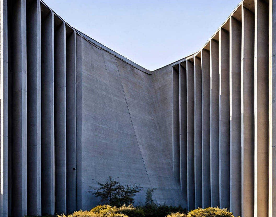 Modern Concrete Building with Vertical Lines and Tree in Soft Sunlight