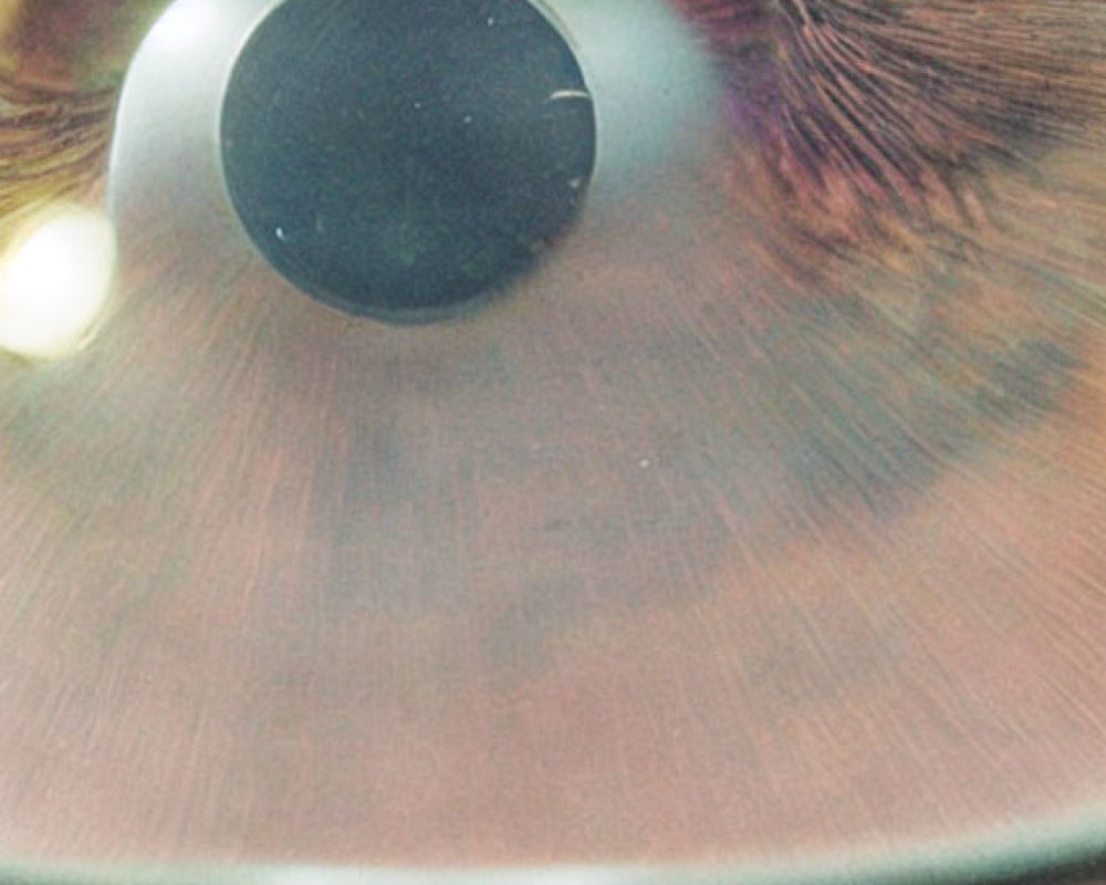 Detailed Close-up of Human Eye with Magnified Iris and Eyelashes