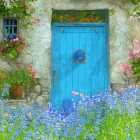 Colorful flowers and greenery enhance vibrant blue door in stone wall