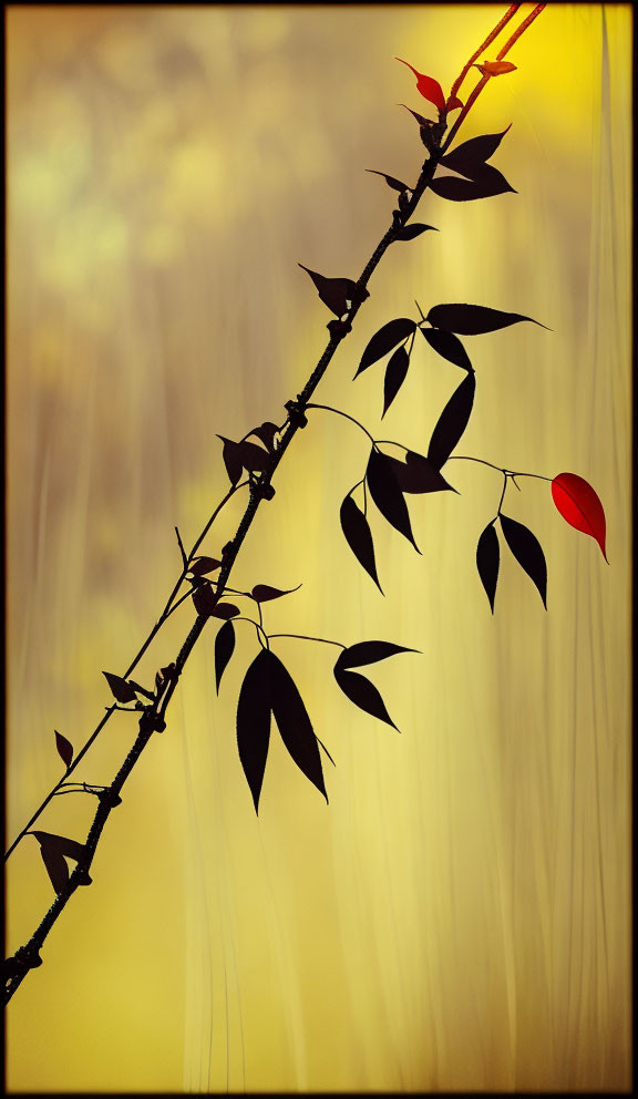 Vibrant red leaf among dark leaves on vine in blurred golden backdrop