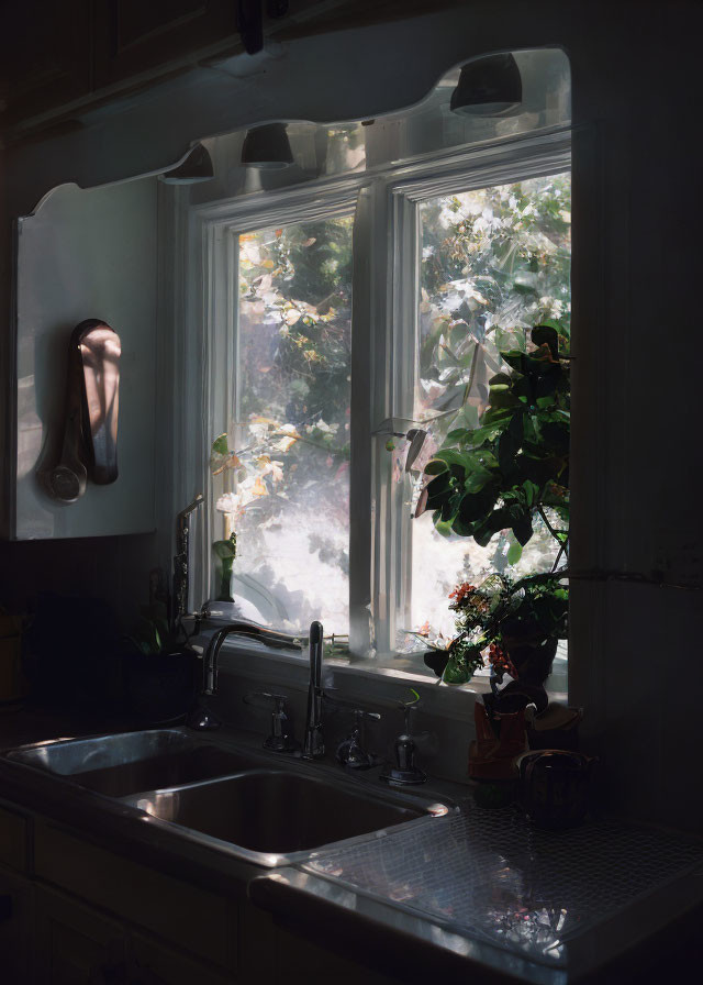 Sunlit Cozy Kitchen Interior with Green Plants by Sink