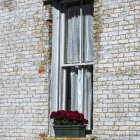 Narrow window on textured stone wall with snow patches and red flowers