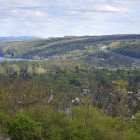 Lush Region with Fall Trees, Houses, and River