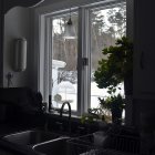 Sunlit Cozy Kitchen Interior with Green Plants by Sink