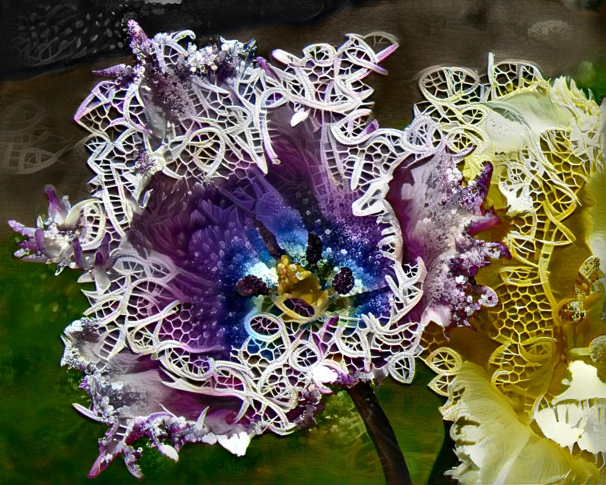 Fringed Tulips