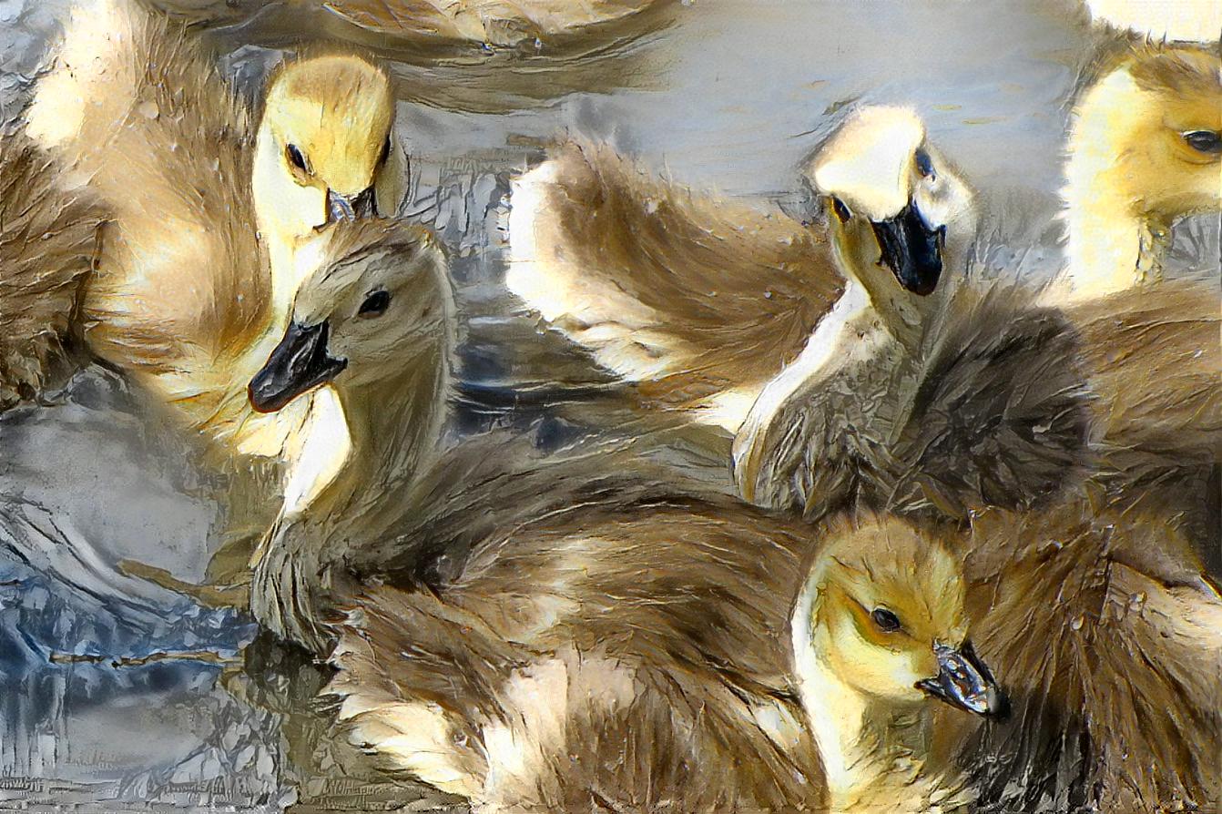 Goslings