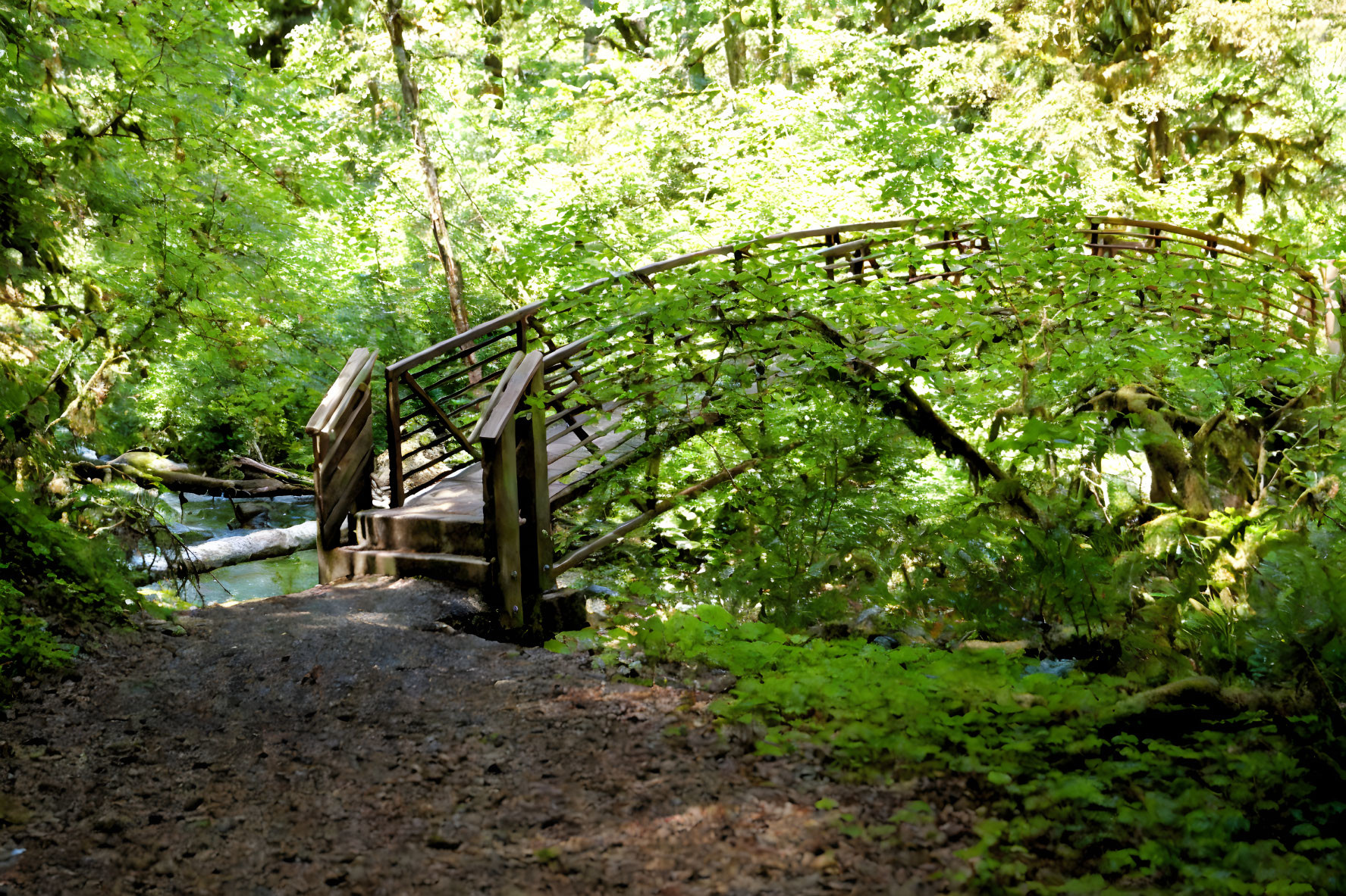 Tranquil woodland scene with rustic wooden bridge and lush green foliage