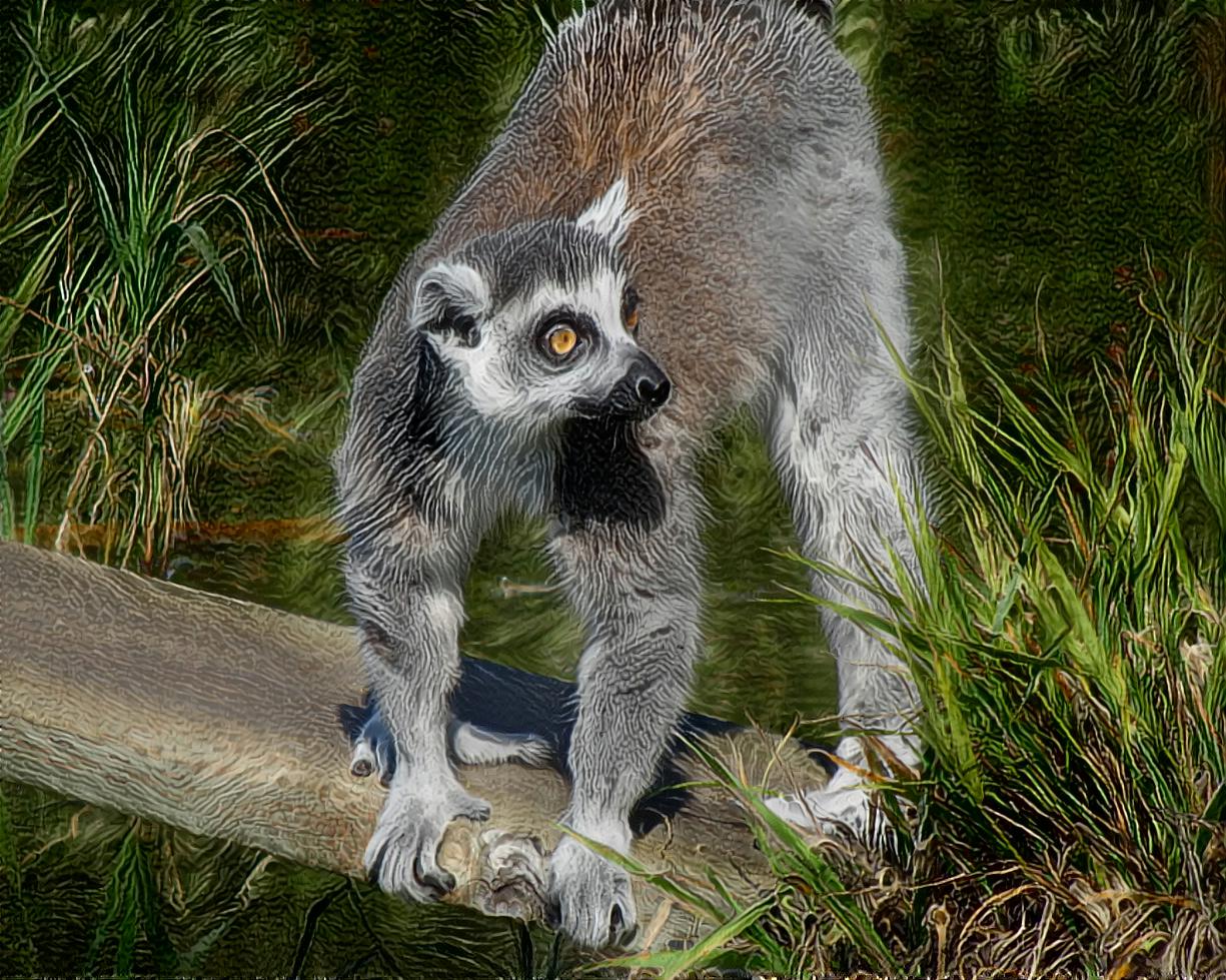 Lemur