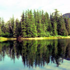 Tranquil lake mirroring dense coniferous forest and golden sky