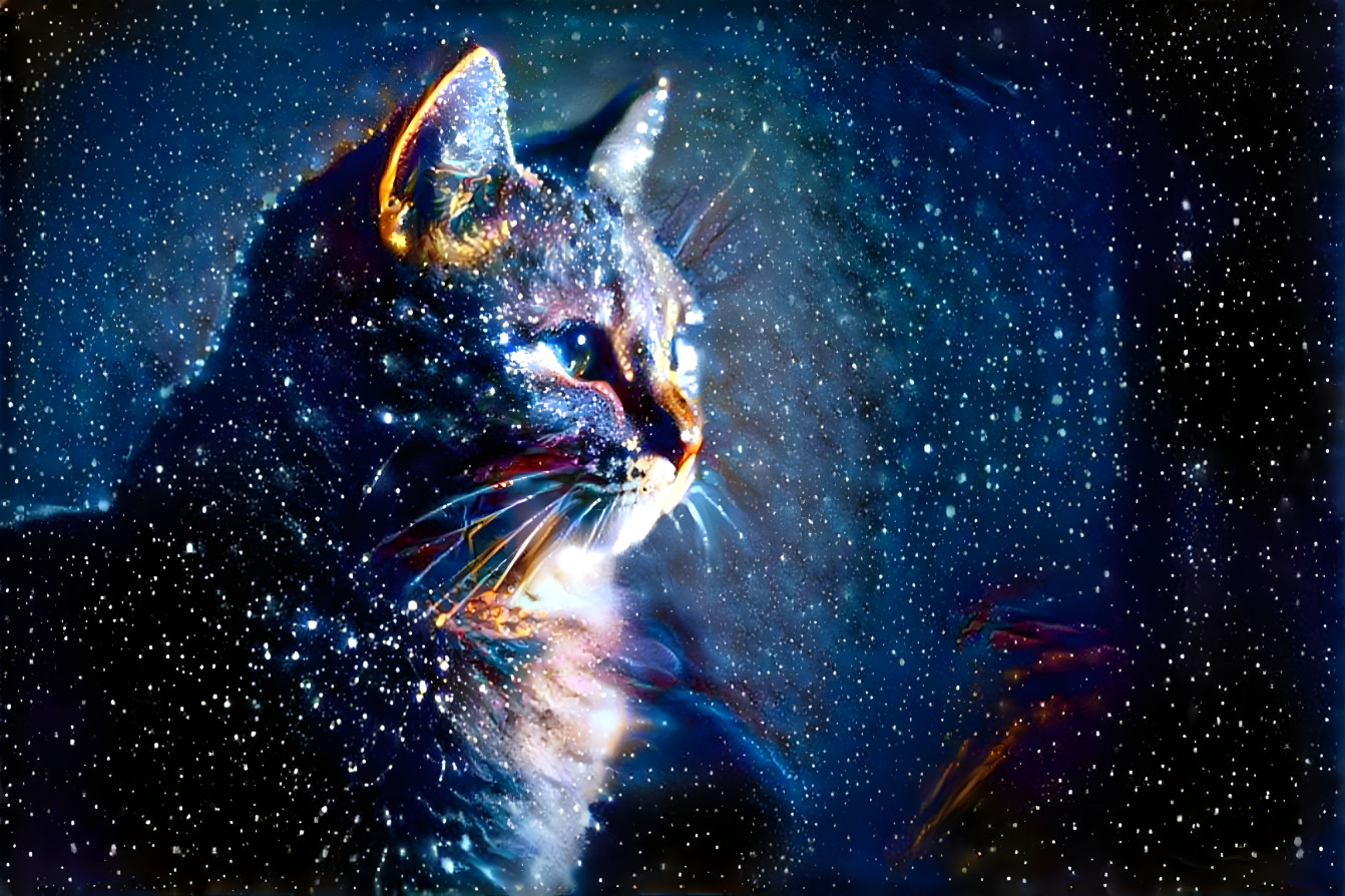 space kitty