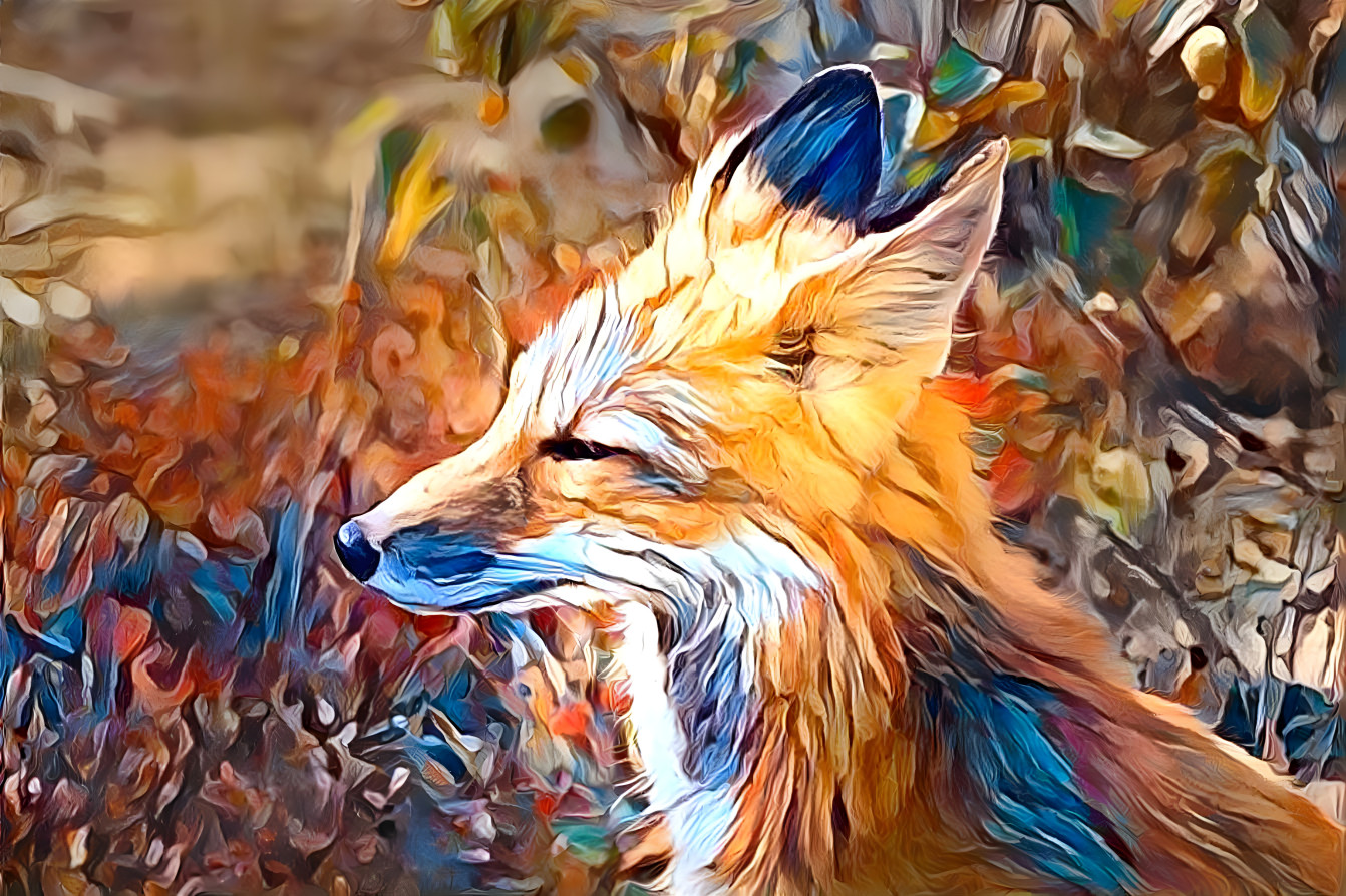 fox