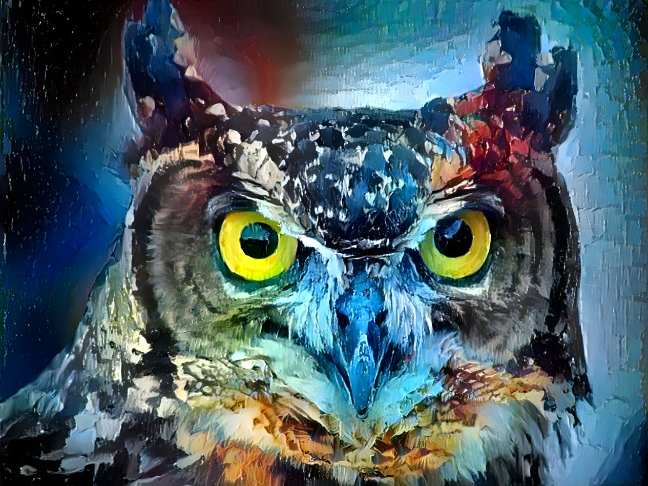 owl