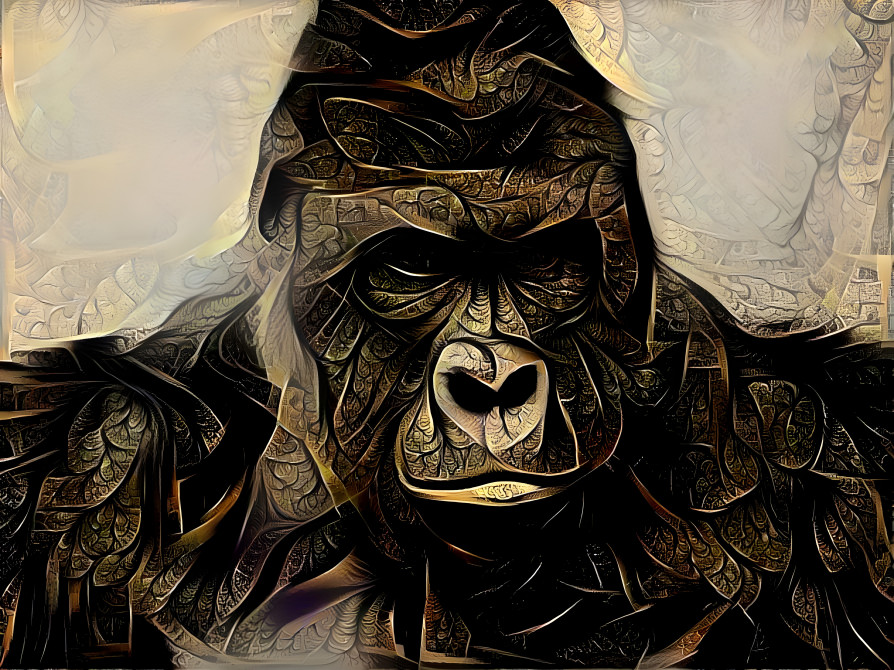 Gorilla my dreams