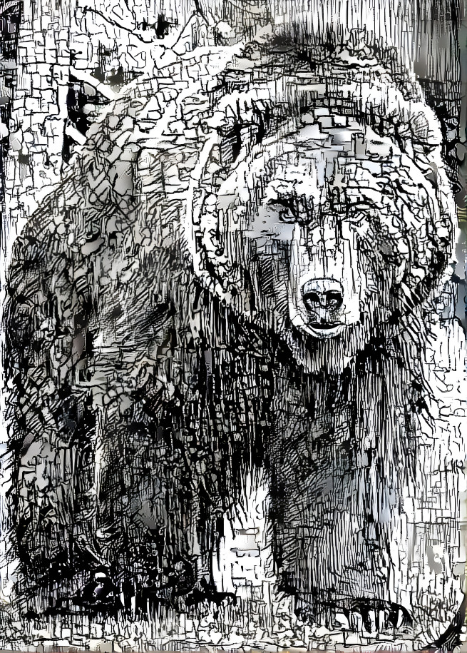 Bear in black and white 