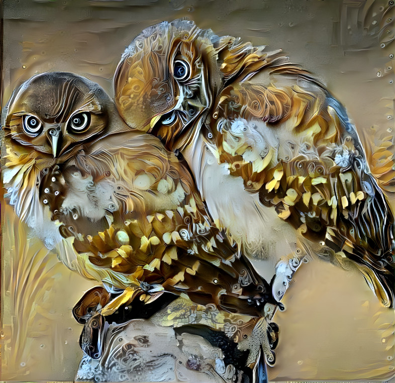 Love Owls 