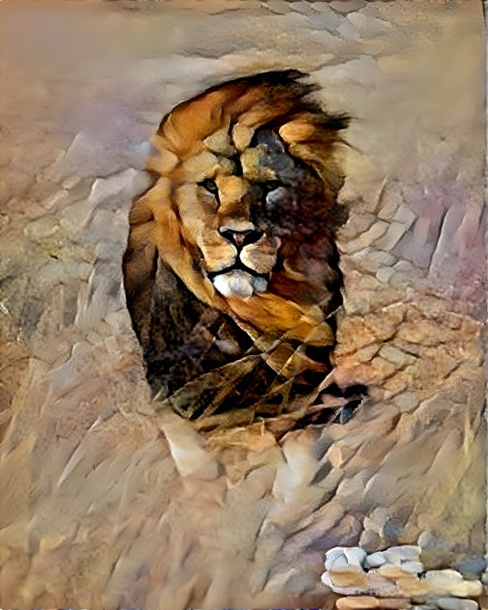 Lion in the wind 