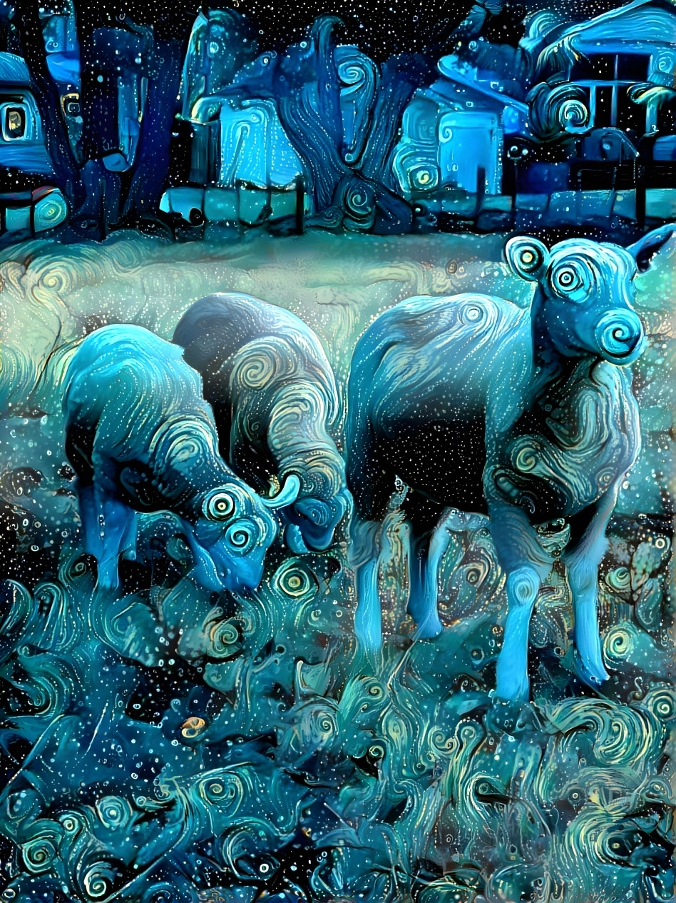 Sheep 