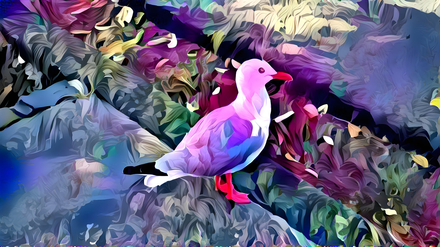 Seagull