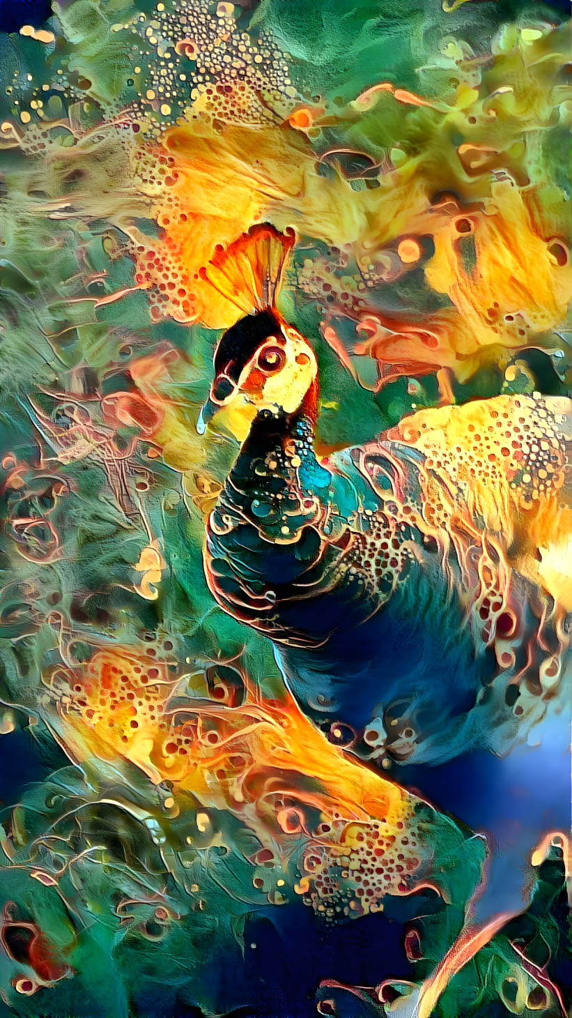 Peacock