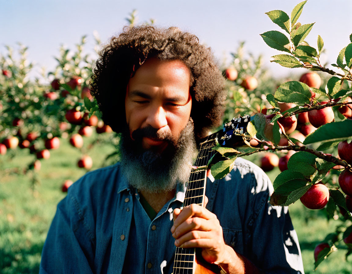 Smiling man with curly beard playing mandolin in apple orchard