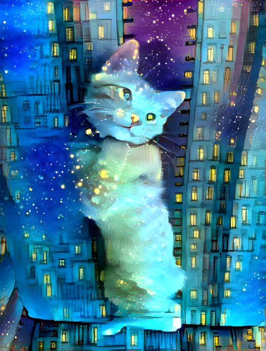 Night-City-Cat