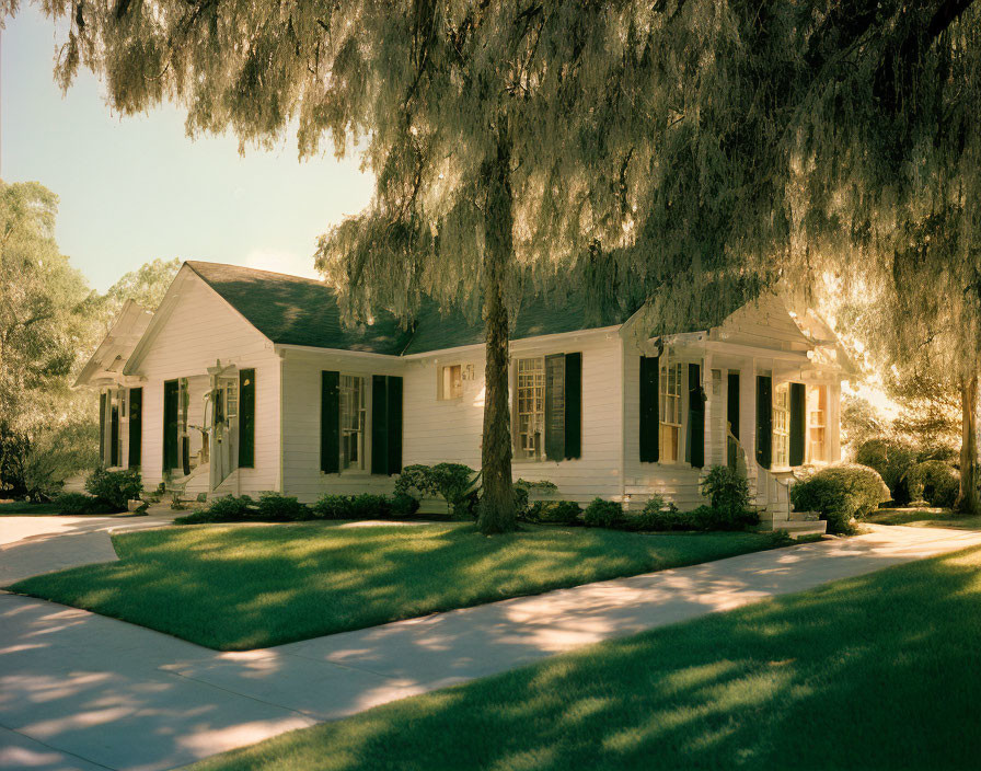 White House with Willow-Shaded Porch and Sunlit Lawn