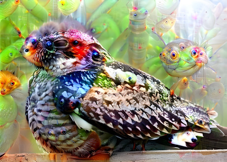 Deep dream nighthawk 