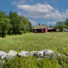 Colorful landscape with whimsical cottages and stylized flowers under fluffy sky