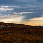 Tranquil sunset landscape with colorful wildflowers and rolling hills