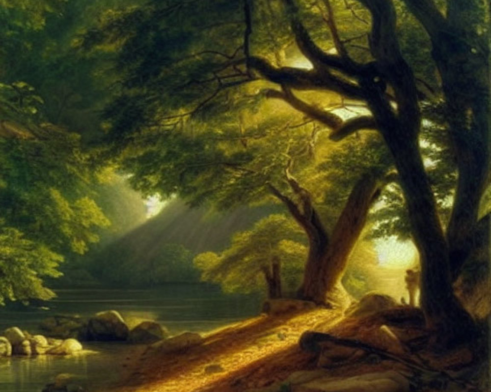 Sunlit Forest Scene with River Bank Rocks & Greenery
