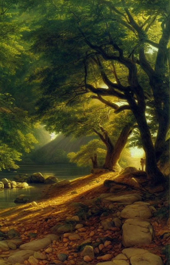 Sunlit Forest Scene with River Bank Rocks & Greenery