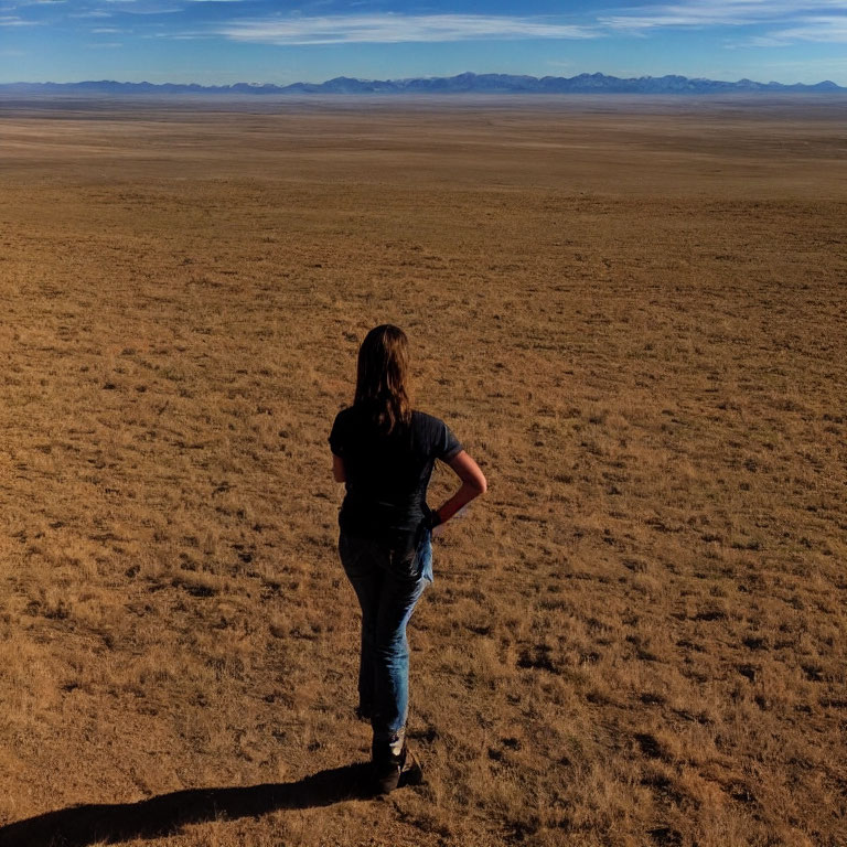 Person standing in flat landscape under clear sky with distant mountains.