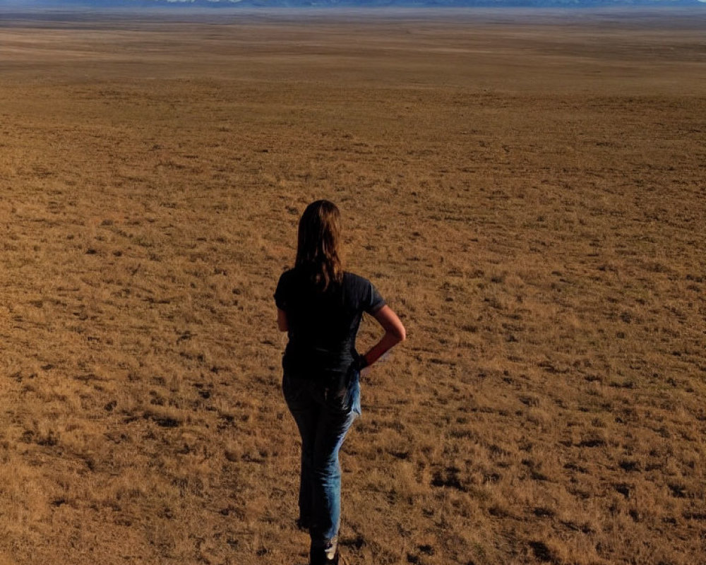 Person standing in flat landscape under clear sky with distant mountains.