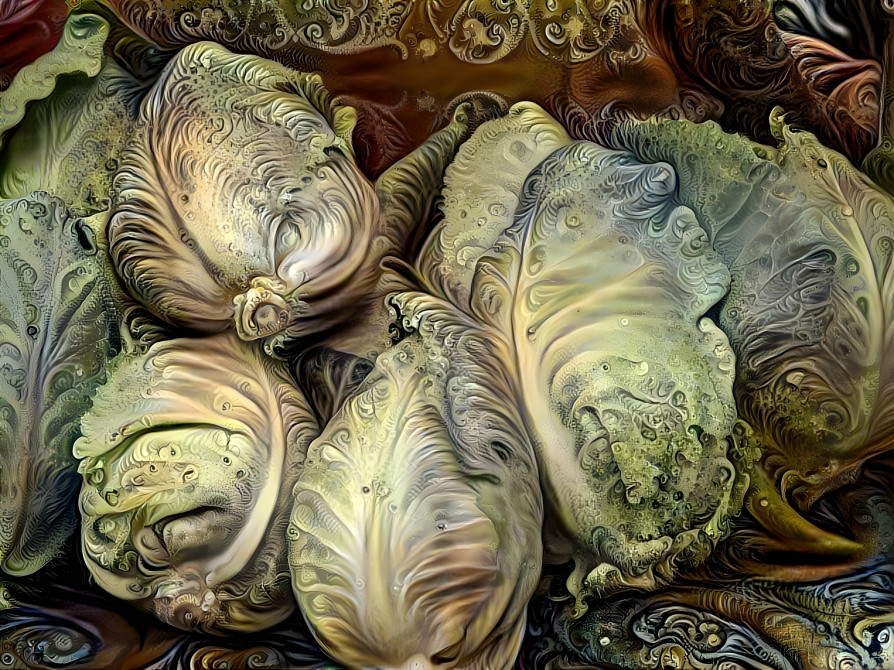 Cabbage