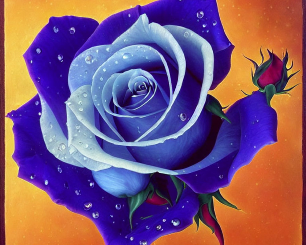 Digital Art: Blue Rose with Water Droplets on Orange Background