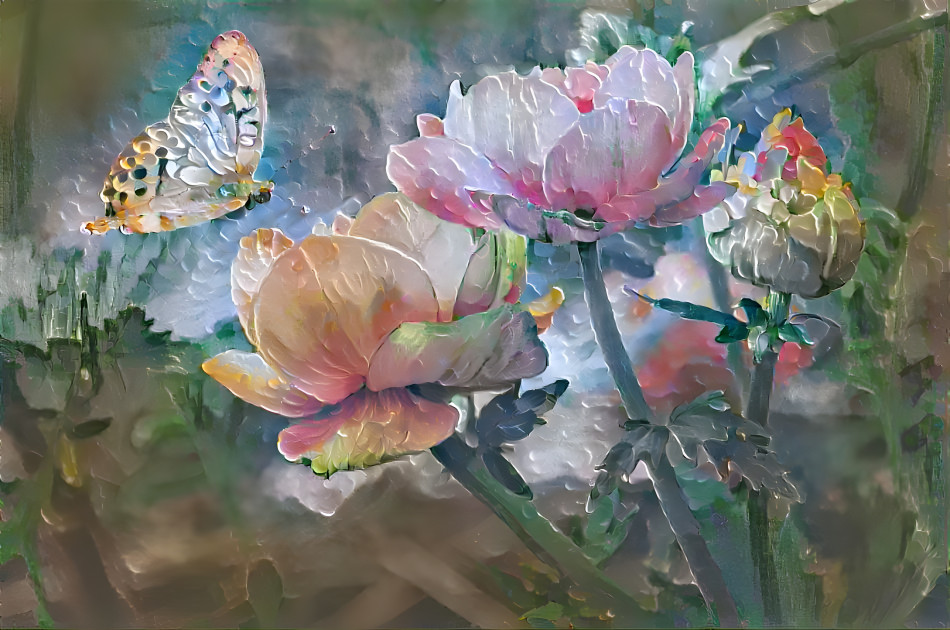 Butterflies and Flowers