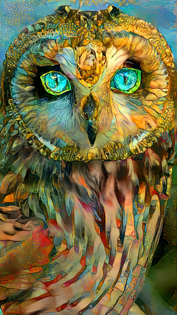 Owl