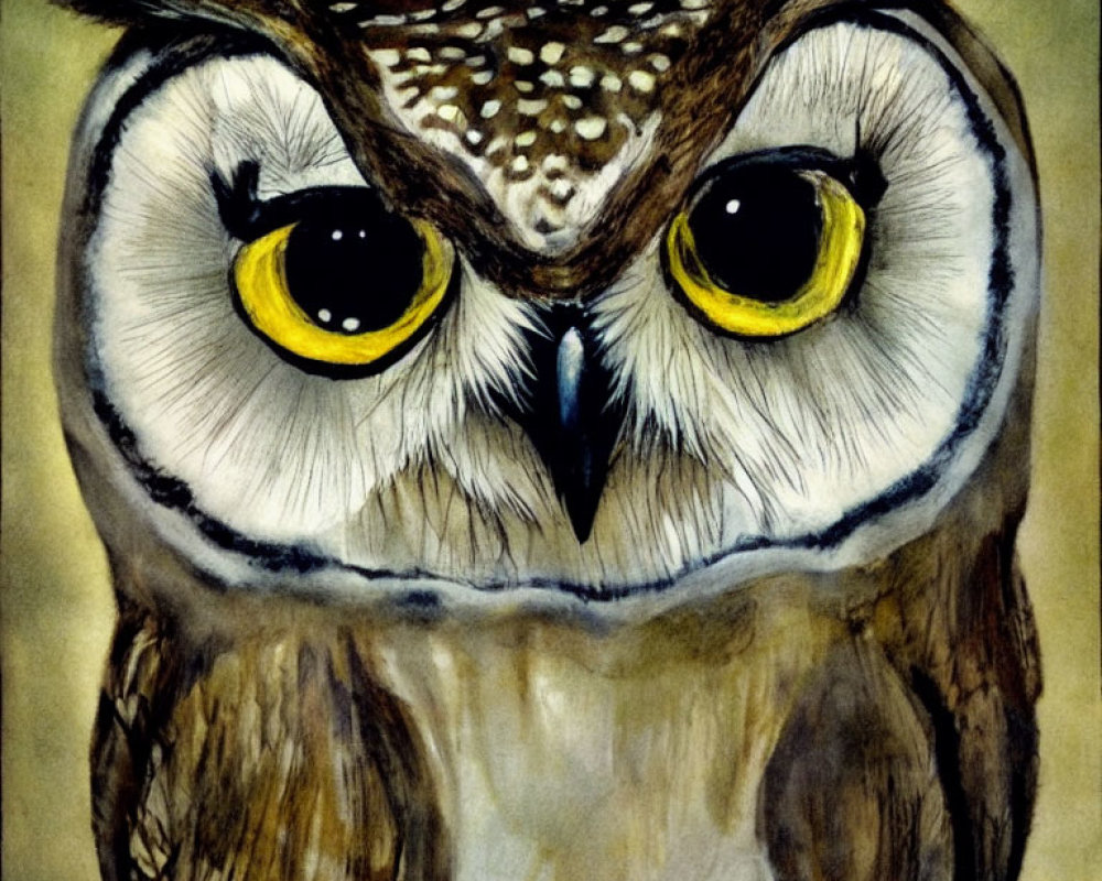 Detailed Owl Illustration with Striking Yellow Eyes and Sharp Beak