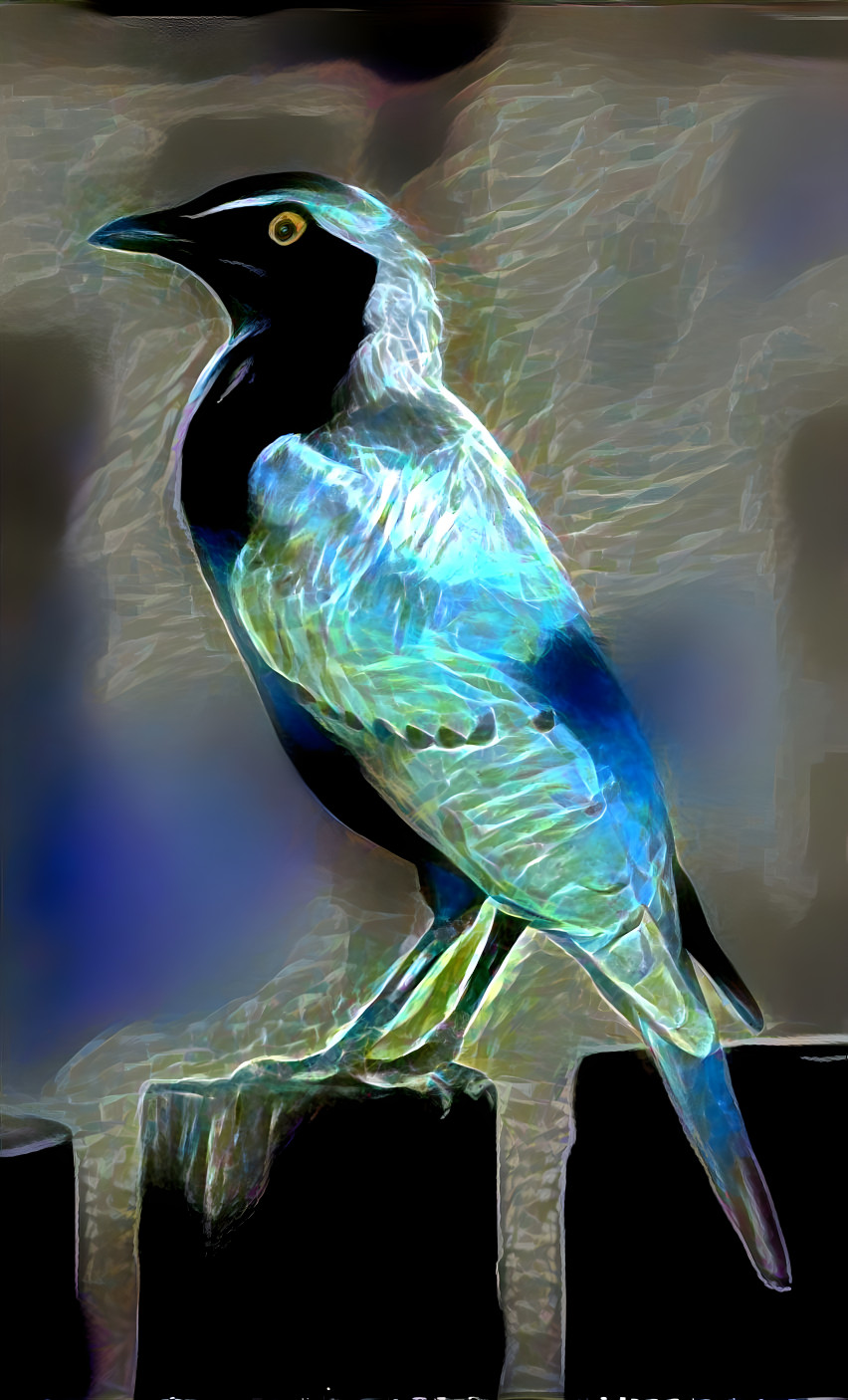 Blue Bird 