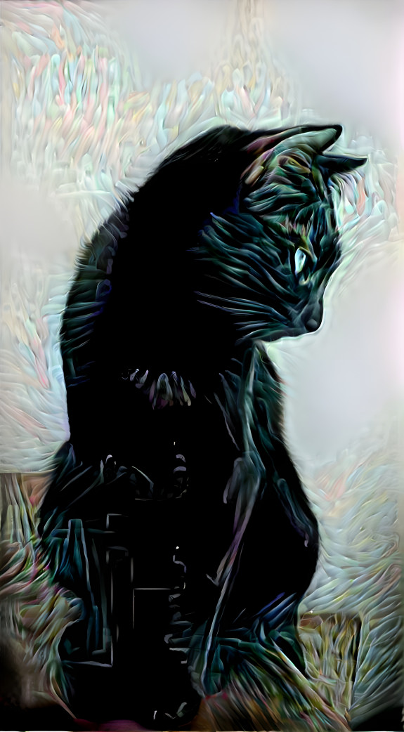 Black Cat 