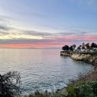 Colorful Coastal Sunset Painting with Silhouetted Trees and Rocky Cliffs