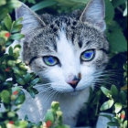 Intricately patterned cat with vibrant colors and floral backdrop