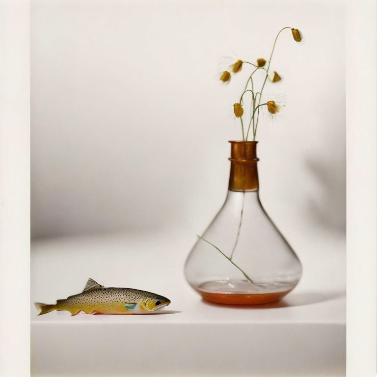 Toy fish and dry flowers next to clear flask on plain background