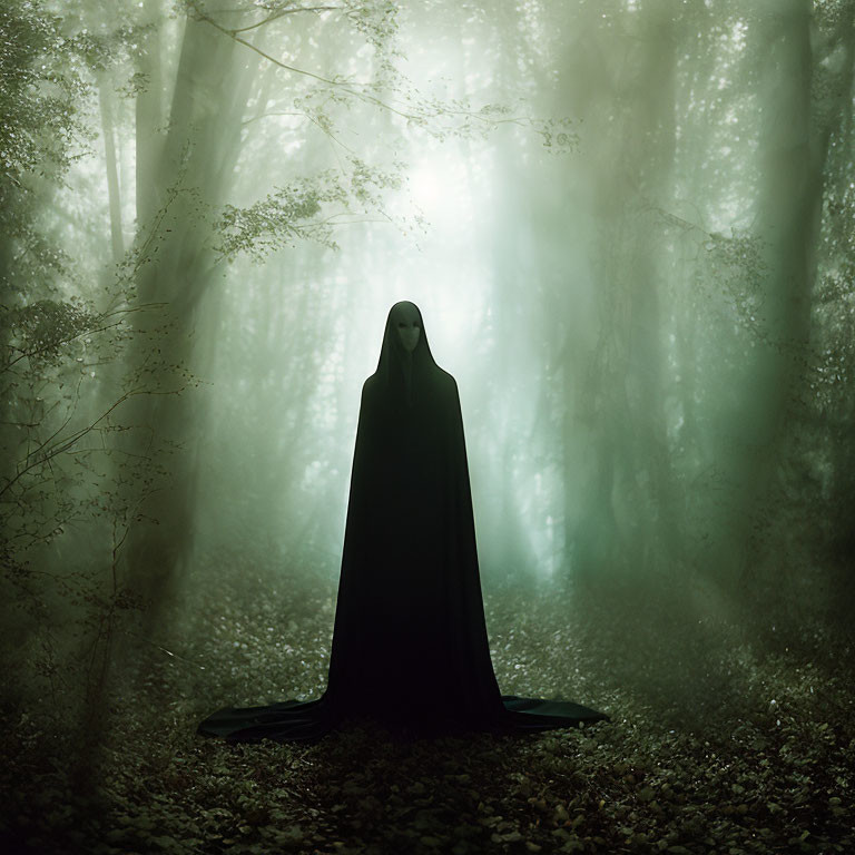 Cloaked Figure in Misty Forest with Filtered Light