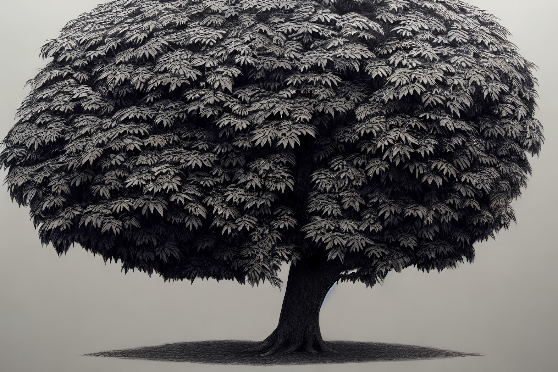 Detailed monochrome illustration of dense, leafy tree with textured leaves and thick canopy casting shadow.